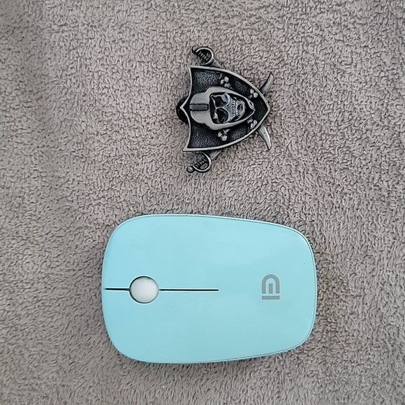 Raiders pin - Picture 4 of 4